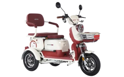 Arora RÜZGAR NEW MOPED